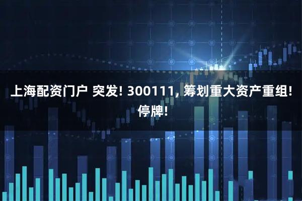 上海配资门户 突发! 300111, 筹划重大资产重组! 停牌!